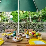 The Chestnut Garden -