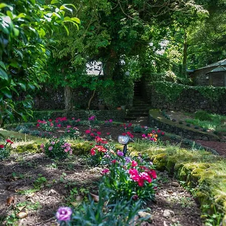 The Chestnut Garden - Tatil Evi Fenais da Luz