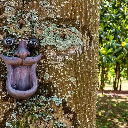 Dom wakacyjny The Chestnut Garden -