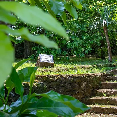 The Chestnut Garden - *
