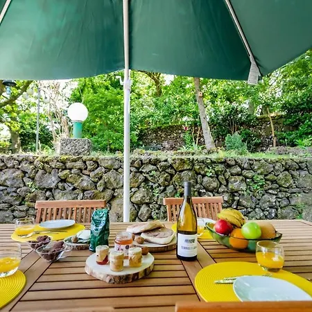 The Chestnut Garden -