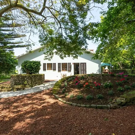 Holiday home The Chestnut Garden -