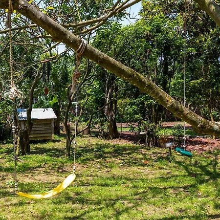 The Chestnut Garden -