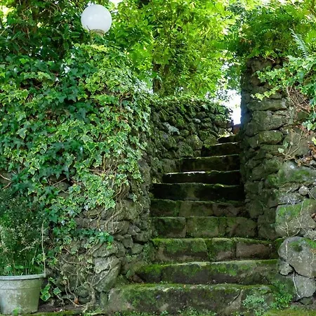 The Chestnut Garden - Fenais da Luz