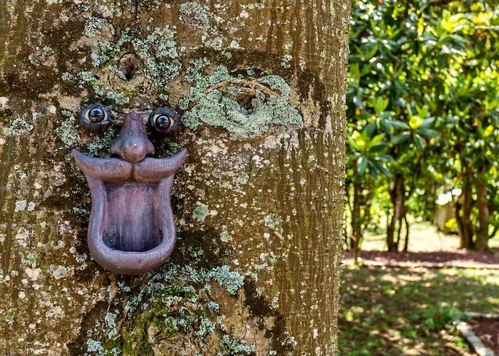 The Chestnut Garden - Casa de Férias Fenais da Luz